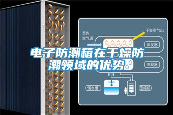 亚洲人成综合第一网站 电子防潮箱在干燥防潮领域的优势