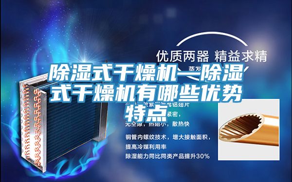 亚洲欧美一级特黄大片 除湿式干燥机—除湿式干燥机有哪些优势特点