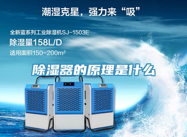 亚洲欧美一级特黄大片 除湿器的原理是什么