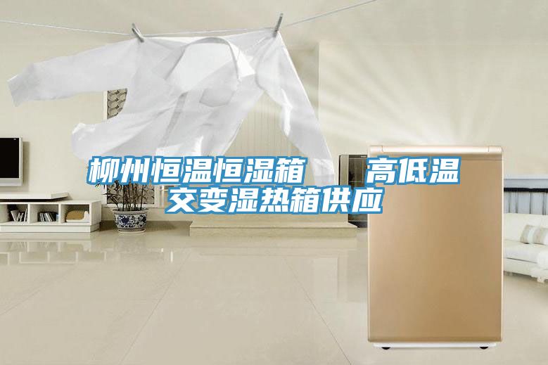 亚洲乱码一区二区三区 柳州恒温恒湿箱   高低温交变湿热箱供应