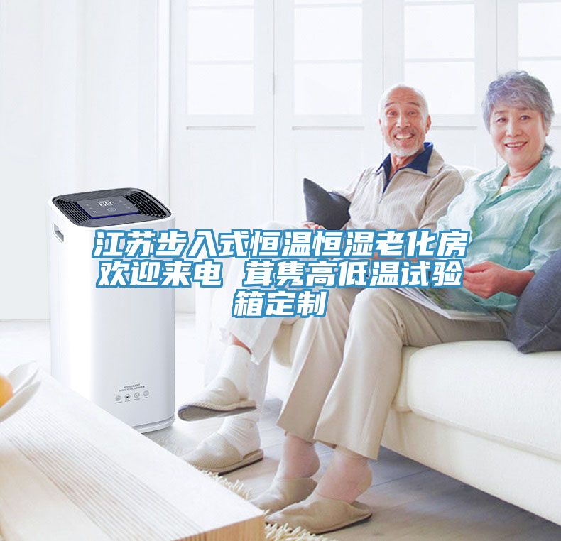 亚洲人成综合第一网站 江苏步入式恒温恒湿老化房欢迎来电 茸隽高低温试验箱定制