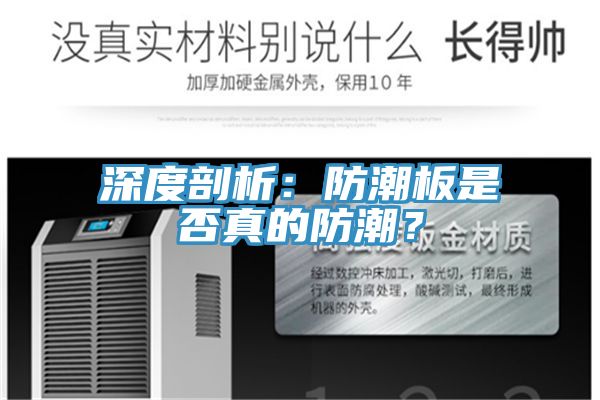 亚洲欧美一级特黄大片 深度剖析：防潮板是否真的防潮？