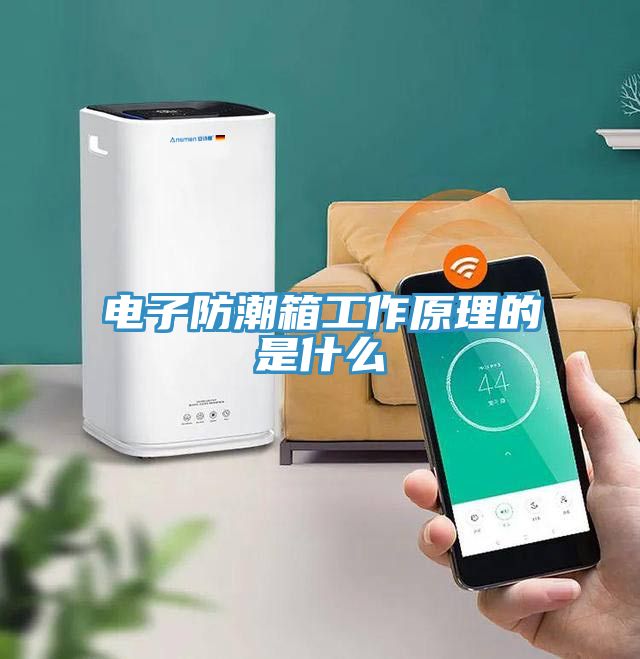 亚洲人成综合第一网站 电子防潮箱工作原理的是什么
