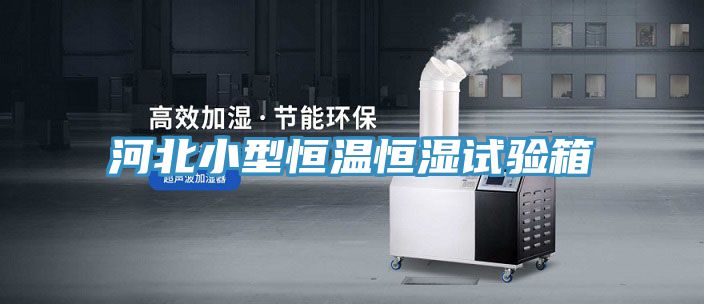 亚洲乱码一区二区三区 河北小型恒温恒湿试验箱