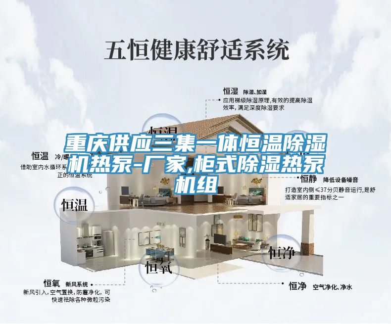 亚洲人成综合第一网站 重庆供应三集一体恒温除湿机热泵-厂家,柜式除湿热泵机组