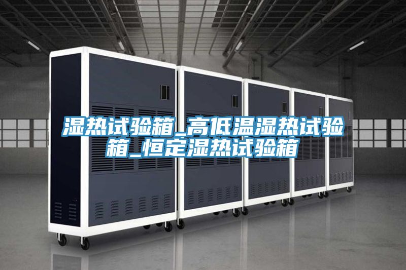 亚洲人成综合第一网站 湿热试验箱_高低温湿热试验箱_恒定湿热试验箱