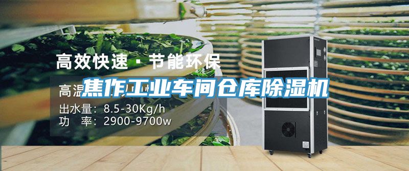 亚洲人成综合第一网站 焦作工业车间仓库除湿机