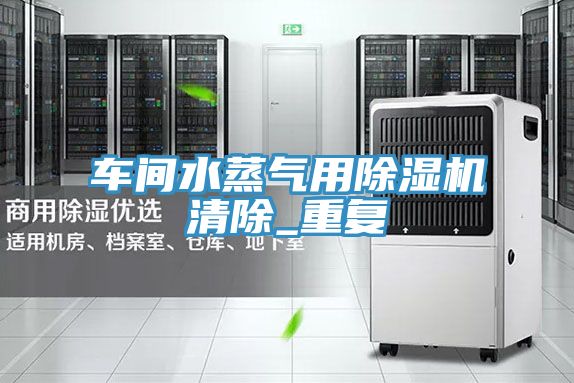 亚洲乱码一区二区三区 车间水蒸气用除湿机清除_重复