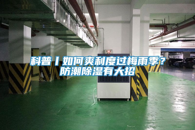 亚洲人成综合第一网站 科普丨如何爽利度过梅雨季？防潮除湿有大招
