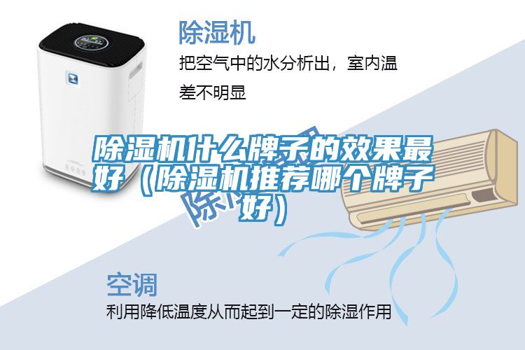亚洲人成综合第一网站 除湿机什么牌子的效果最好（除湿机推荐哪个牌子好）