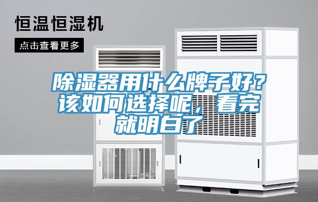 亚洲人成综合第一网站 除湿器用什么牌子好？该如何选择呢，看完就明白了