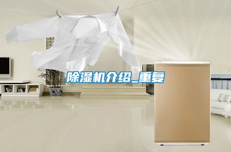 亚洲欧美一级特黄大片 除湿机介绍_重复