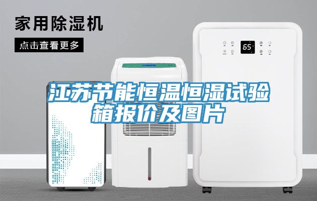 亚洲欧美一级特黄大片 江苏节能恒温恒湿试验箱报价及图片