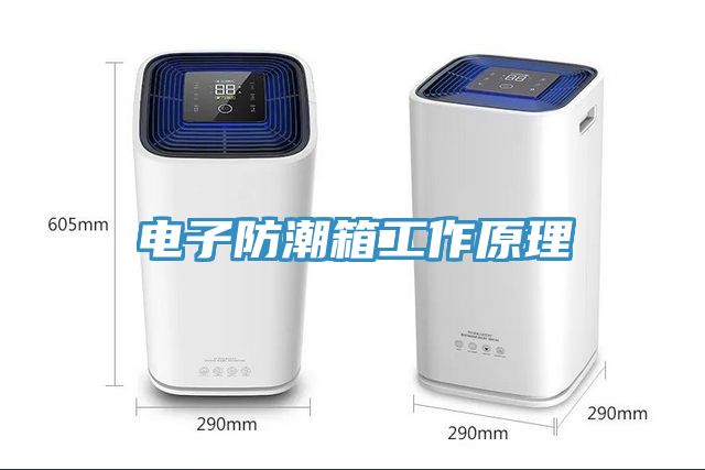 亚洲乱码一区二区三区 电子防潮箱工作原理