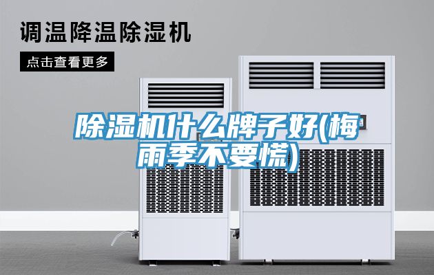 亚洲欧美一级特黄大片 除湿机什么牌子好(梅雨季不要慌)