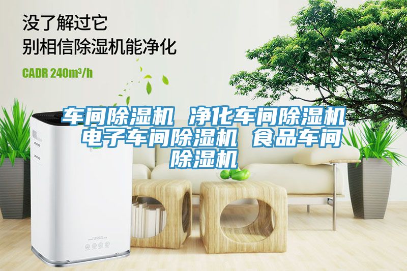 亚洲欧美一级特黄大片 车间除湿机 净化车间除湿机 电子车间除湿机 食品车间除湿机