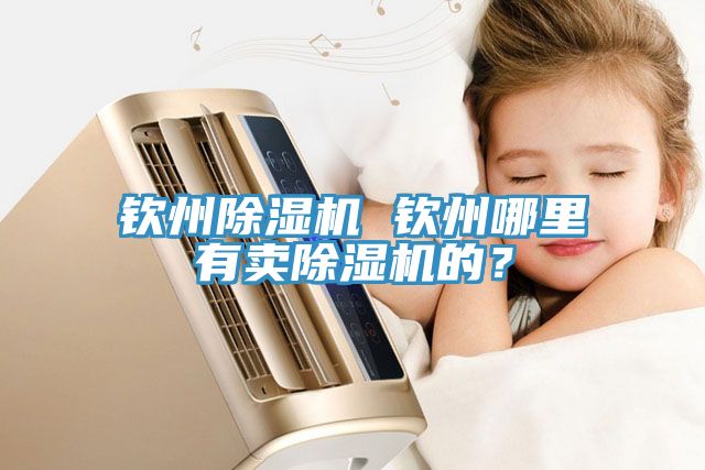 亚洲欧美一级特黄大片 钦州除湿机 钦州哪里有卖除湿机的？