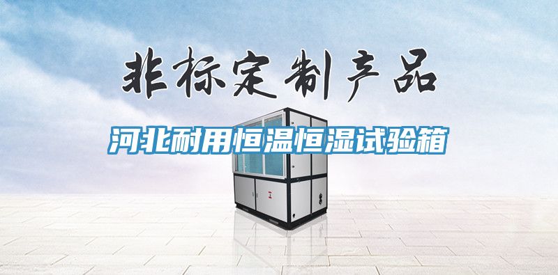 亚洲欧美一级特黄大片 河北耐用恒温恒湿试验箱