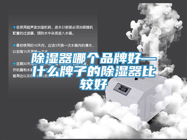 亚洲人成综合第一网站 除湿器哪个品牌好—什么牌子的除湿器比较好