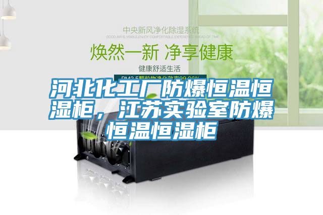 亚洲人成综合第一网站 河北化工厂防爆恒温恒湿柜，江苏实验室防爆恒温恒湿柜