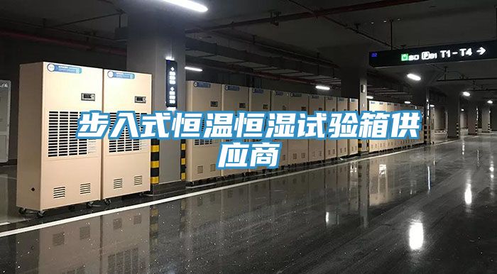 亚洲人成综合第一网站 步入式恒温恒湿试验箱供应商