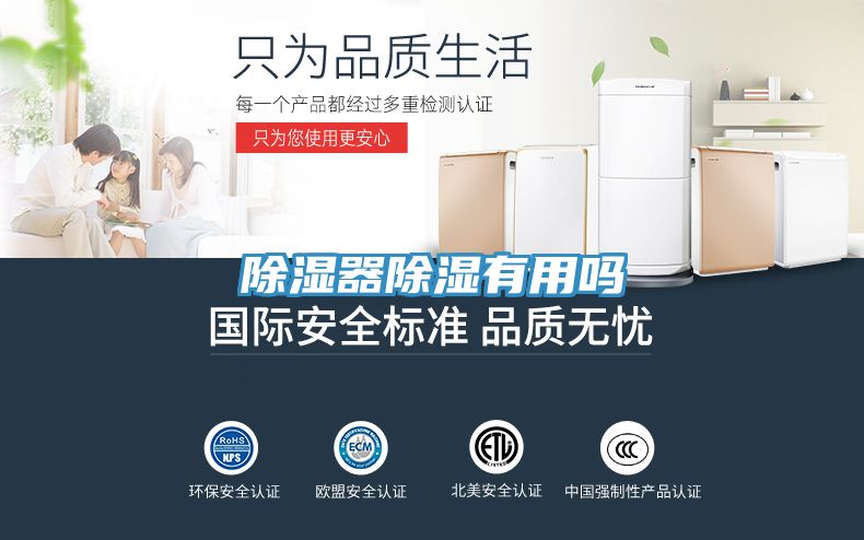 亚洲欧美一级特黄大片 除湿器除湿有用吗