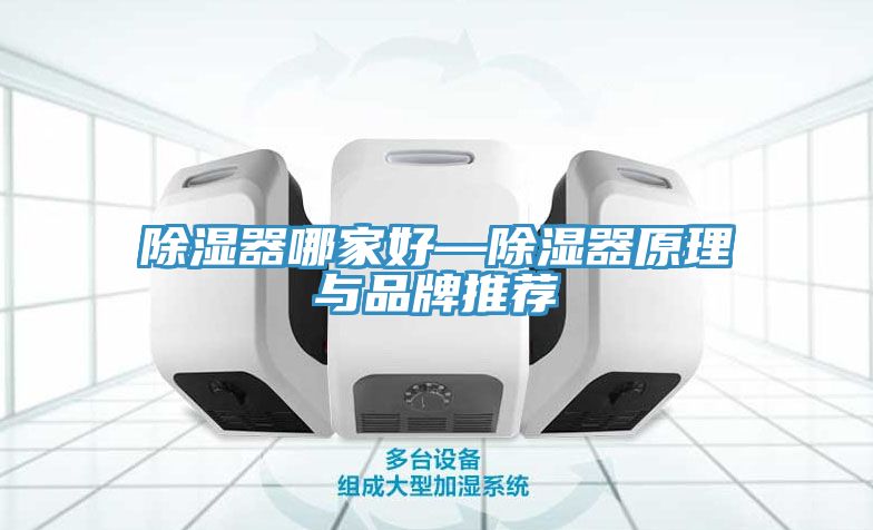 亚洲人成综合第一网站 除湿器哪家好—除湿器原理与品牌推荐