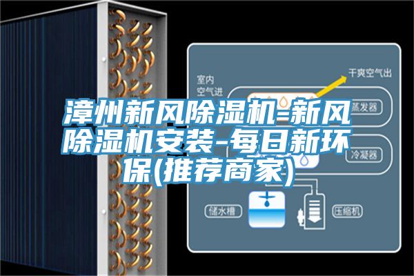 亚洲欧美一级特黄大片 漳州新风除湿机-新风除湿机安装-每日新环保(推荐商家)