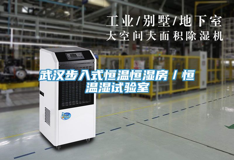 亚洲乱码一区二区三区 武汉步入式恒温恒湿房／恒温湿试验室