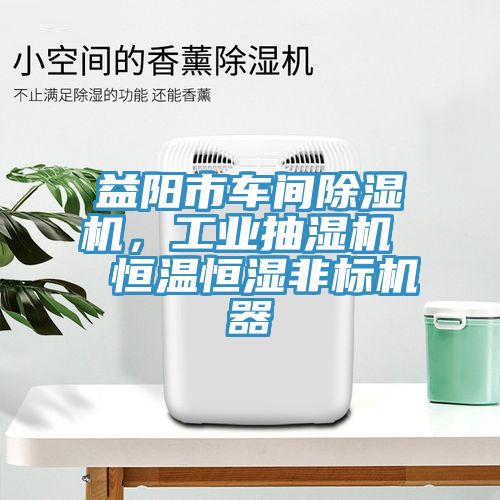 亚洲人成综合第一网站 益阳市车间除湿机，工业抽湿机  恒温恒湿非标机器