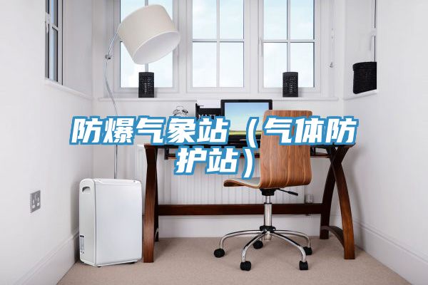 亚洲人成综合第一网站 防爆气象站（气体防护站）