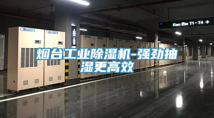 亚洲欧美一级特黄大片 烟台工业除湿机-强劲抽湿更高效