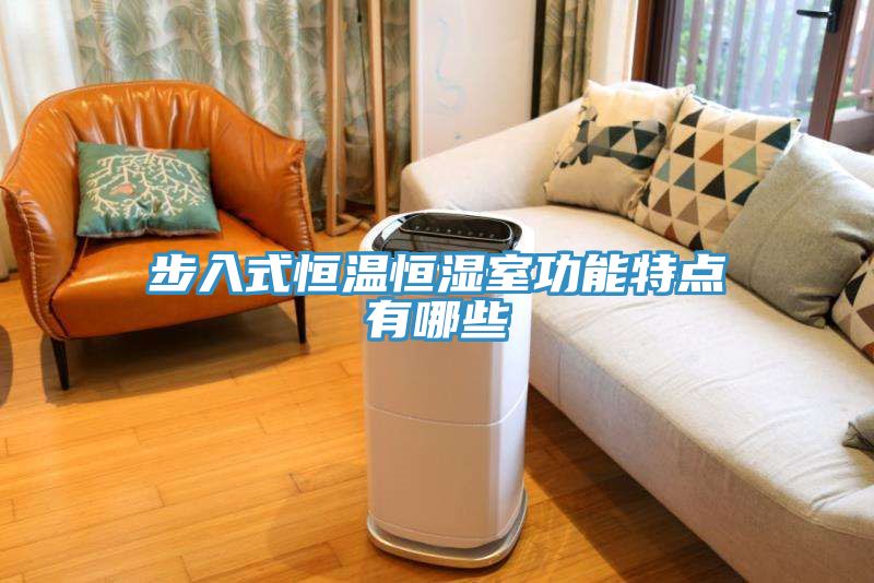亚洲人成综合第一网站 步入式恒温恒湿室功能特点有哪些