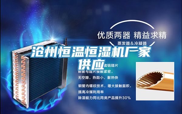 亚洲欧美一级特黄大片 沧州恒温恒湿机厂家供应