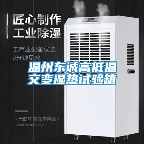 亚洲乱码一区二区三区 温州东诚高低温交变湿热试验箱