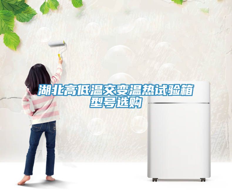 亚洲人成综合第一网站 湖北高低温交变温热试验箱型号选购