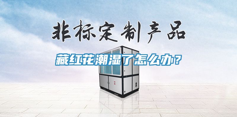 亚洲乱码一区二区三区 藏红花潮湿了怎么办？