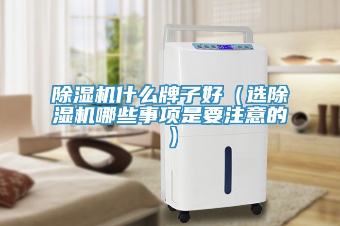 亚洲乱码一区二区三区 除湿机什么牌子好（选除湿机哪些事项是要注意的）
