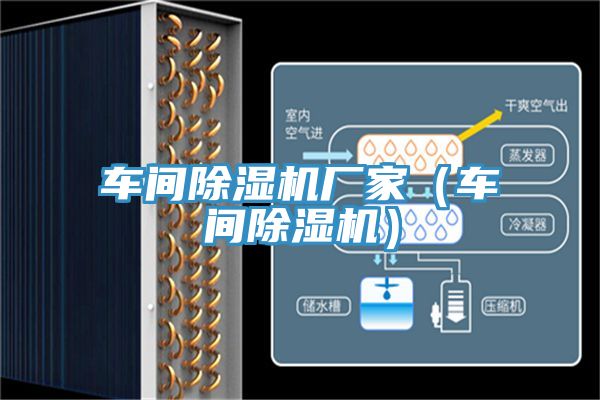 亚洲欧美一级特黄大片 车间除湿机厂家（车间除湿机）