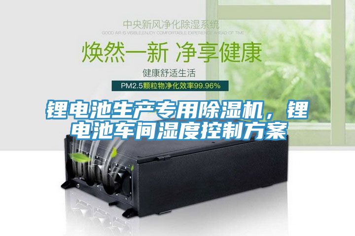亚洲人成综合第一网站 锂电池生产专用除湿机，锂电池车间湿度控制方案