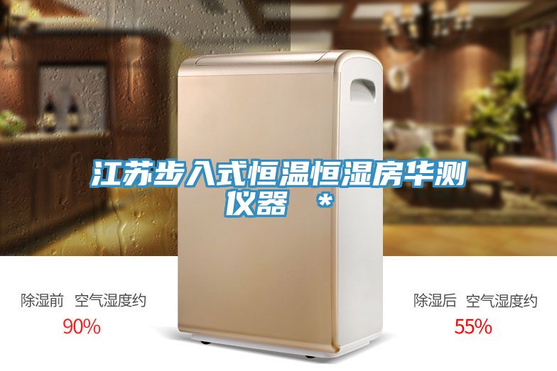 亚洲人成综合第一网站 江苏步入式恒温恒湿房华测仪器 ＊