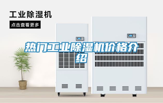 亚洲乱码一区二区三区 热门工业除湿机价格介绍