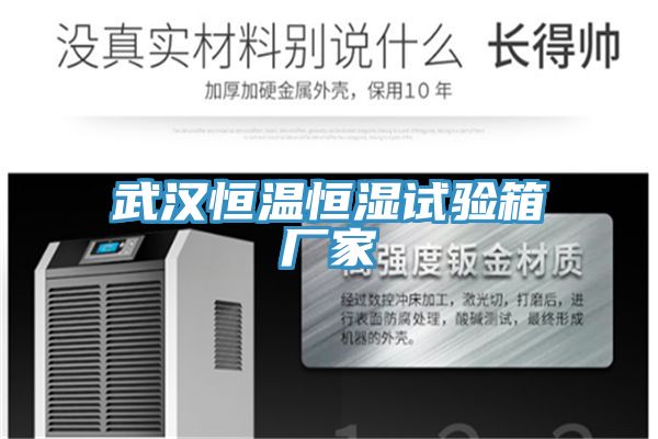 亚洲欧美一级特黄大片 武汉恒温恒湿试验箱厂家