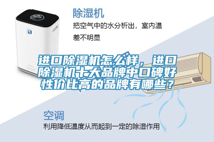 进口除湿机怎么样，进口除湿机十大品牌中口碑好性价比高的品牌有哪些？