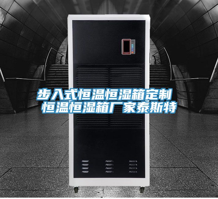 亚洲人成综合第一网站 步入式恒温恒湿箱定制 恒温恒湿箱厂家泰斯特