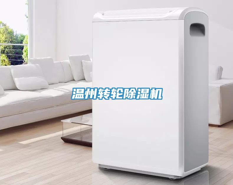 亚洲欧美一级特黄大片 温州转轮除湿机