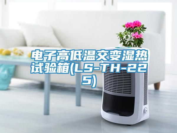 亚洲欧美一级特黄大片 电子高低温交变湿热试验箱(LS-TH-225)