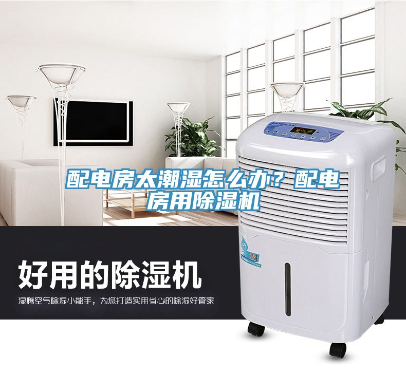 亚洲人成综合第一网站 配电房太潮湿怎么办？配电房用除湿机