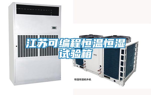 亚洲人成综合第一网站 江苏可编程恒温恒湿试验箱