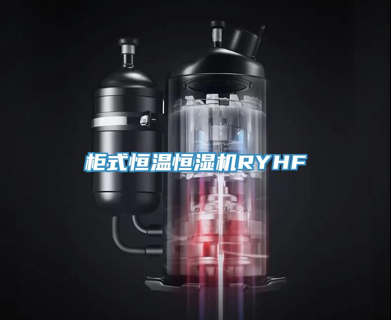 亚洲人成综合第一网站 柜式恒温恒湿机RYHF
